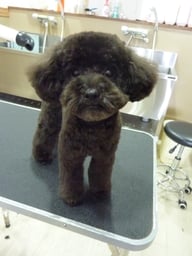 きりぃちゃん❤