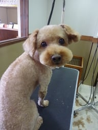 ここあちゃん❤