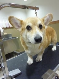 マッシュちゃん❤