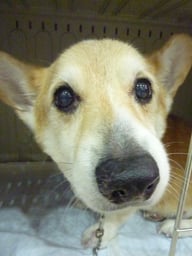 マッシュちゃん❤