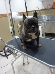 こはるちゃん❤