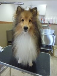 ユングちゃん❤