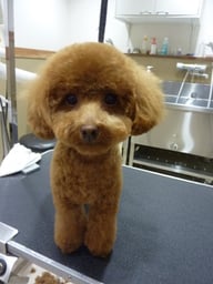 かえでちゃん❤