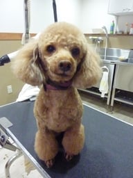 カールちゃん❤