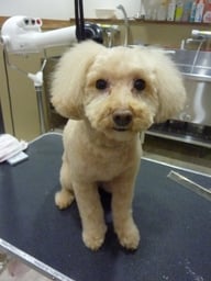 はづきちゃん❤