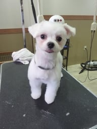 こまめちゃん❤