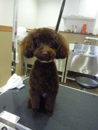 ノエルちゃん❤