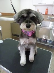 ちょびちゃん❤