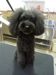 ミントちゃん❤