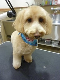 じぇいちゃん❤