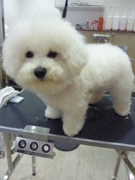 ミルキーちゃん❤