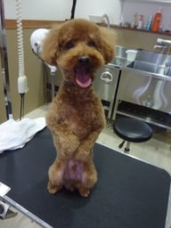 くうたろうちゃん❤