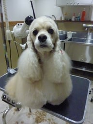 ジュエルちゃん❤