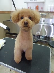 キティちゃん❤