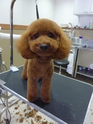 ポッケちゃん❤