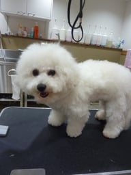 ミルキーちゃん❤