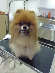 チェルちゃん❤