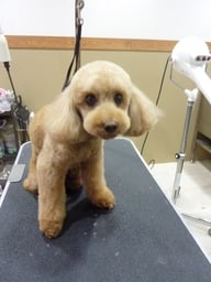 カシューちゃん❤