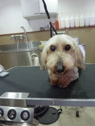 マリンちゃん❤