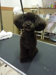 きりぃちゃん❤