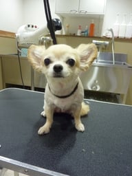 つくしちゃん❤