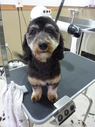 アンディちゃん❤