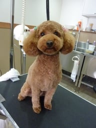 ミルキィちゃん❤