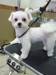 こまめちゃん❤