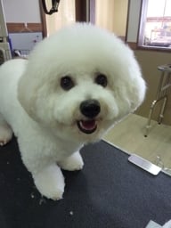 ミルキーちゃん❤