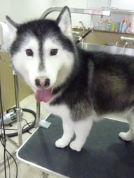 アンナちゃん❤