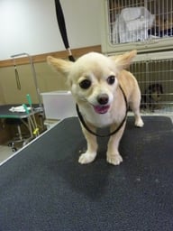 アリスちゃん❤