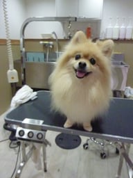 エリーちゃん❤