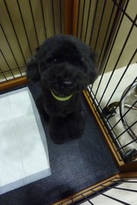 ＣＯＣＯちゃん❤