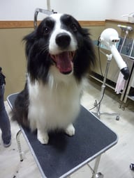 セイラちゃん❤