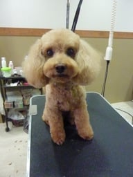 カシューちゃん❤