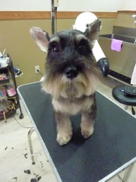 マロンちゃん❤