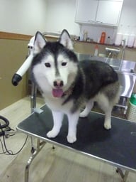 アンナちゃん❤