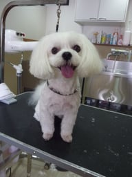 さくらちゃん❤