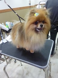 チェルちゃん❤