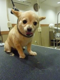 アリスちゃん❤