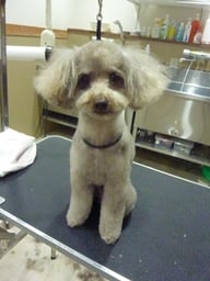 チャルちゃん❤