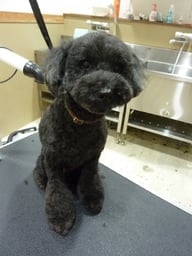 ＣＯＣＯちゃん❤