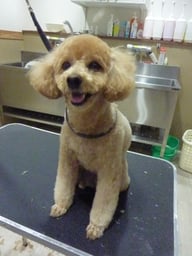 コロンちゃん❤