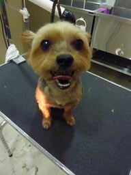 ピッチちゃん❤