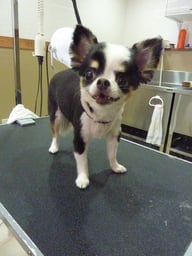 さくらちゃん❤