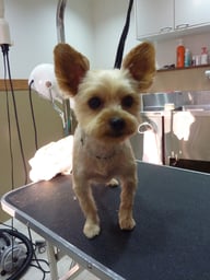 チャコちゃん❤