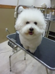 チロルちゃん❤