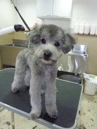 ＣＯＯ太ちゃん❤