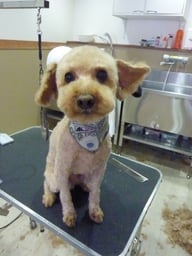 ここあちゃん❤