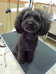 ミントちゃん❤